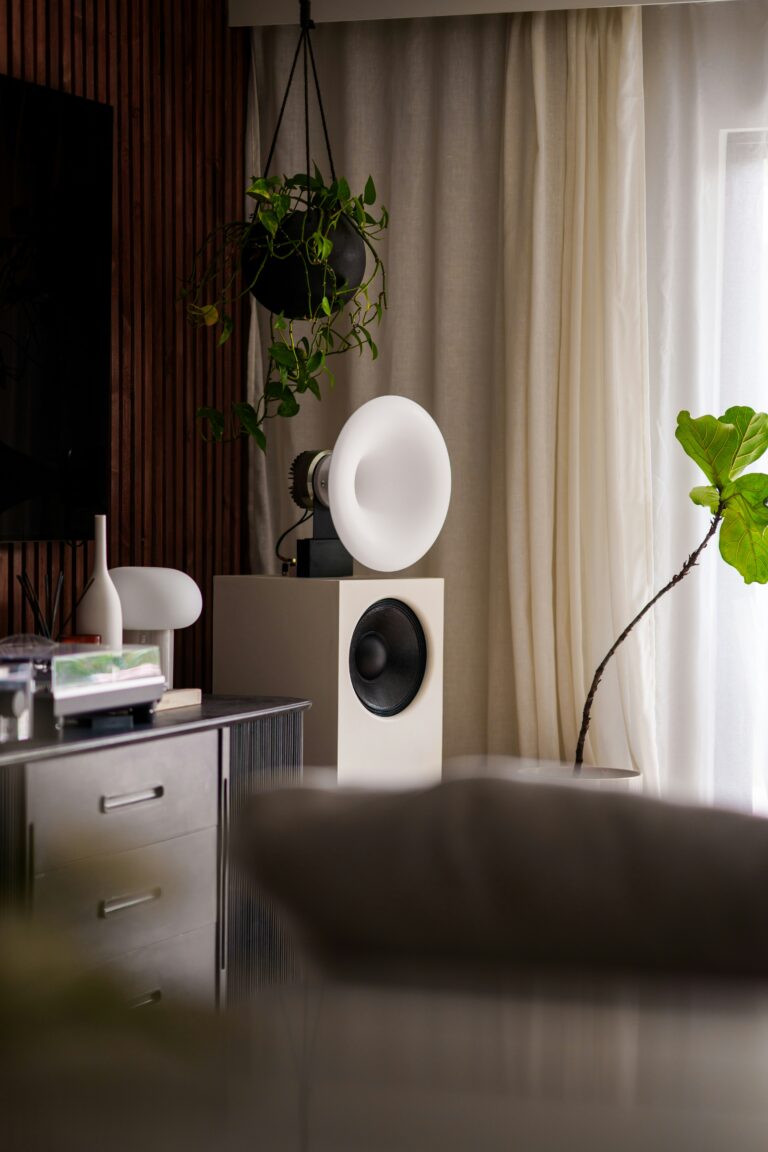 High-end audiophile speakers in a home listening room for serious hi-fi music playback