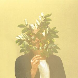 French Kiwi Juice album review image representing FKJ’s intimate blend of electronic, soul, and jazz textures