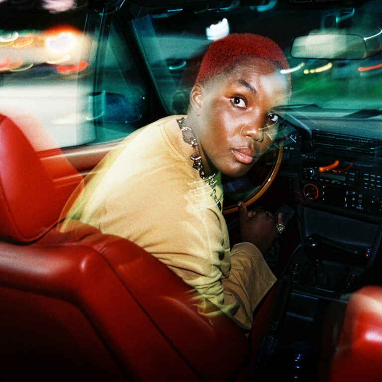Arlo Parks Ambiguous Desire album artwork.